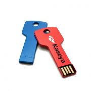 Bulk-Gift-items-Metal-Key-USB-Flash-Drive-With-Customized-Logo-1